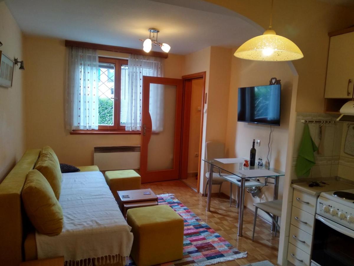 Pine Tree Apartment Saraybosna Dış mekan fotoğraf